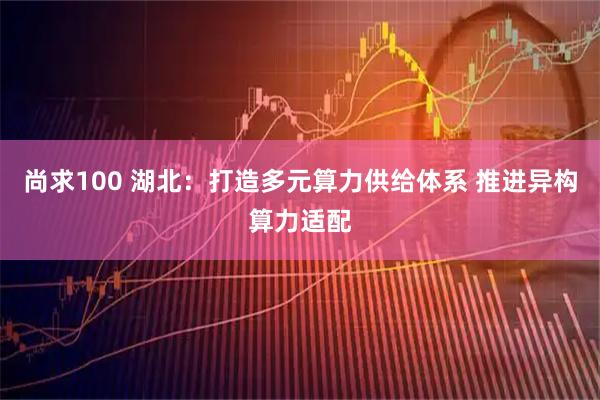 尚求100 湖北：打造多元算力供给体系 推进异构算力适配