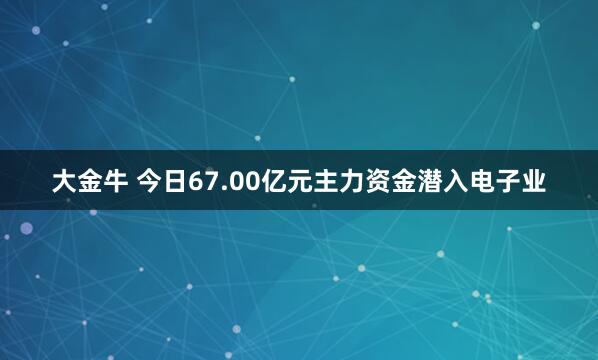 大金牛 今日67.00亿元主力资金潜入电子业
