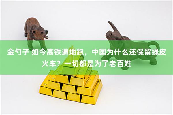 金勺子 如今高铁遍地跑，中国为什么还保留绿皮火车？一切都是为了老百姓